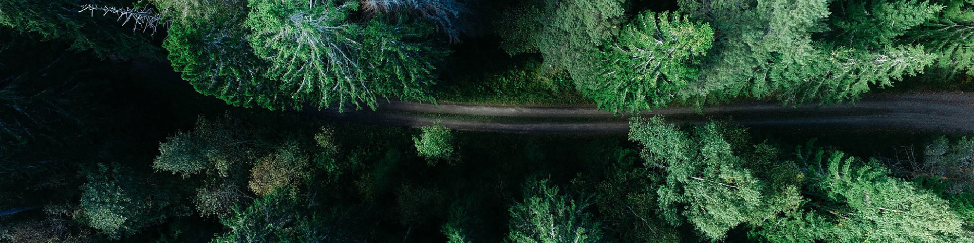 Environment
